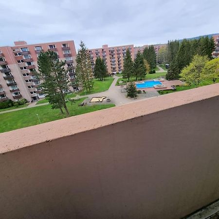Ferienwohnung Altenau Im Harz, Hunde Εξωτερικό φωτογραφία