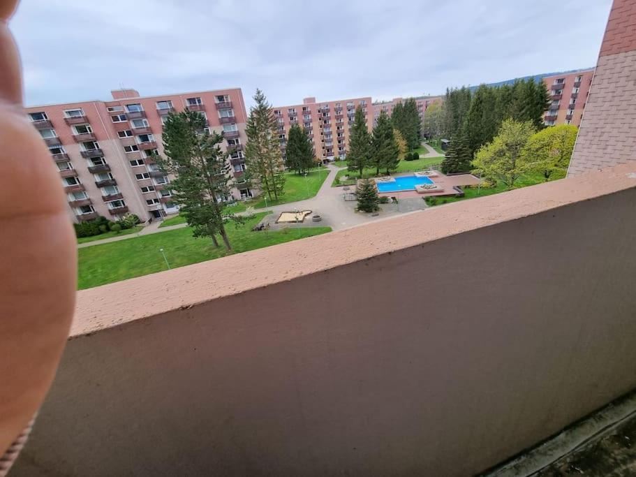 Ferienwohnung Altenau Im Harz, Hunde Εξωτερικό φωτογραφία